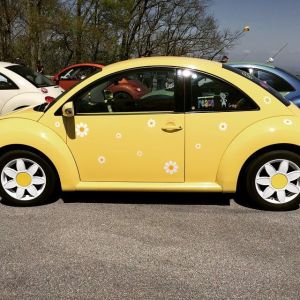 10394566_10205313748936693_1028965074141129437_n