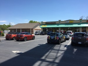 Minis Take the Subway!