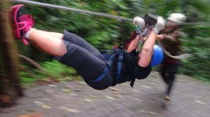 Sherrifliesintobrake