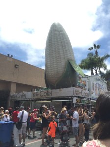 11725298_10205834902405204_1876199654_o