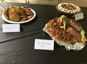 11731446_10205899544621219_1759213082_o