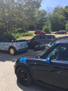 11827233_10206049319205490_1056607181_o