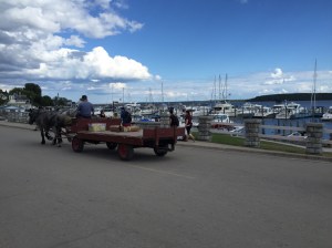 11836538_10206057644853626_925319629_o