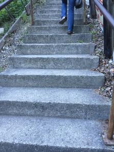 11837003_10206051669504246_359829025_o