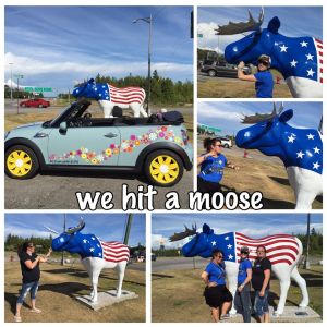 11840429_10206054695699899_526430219_o