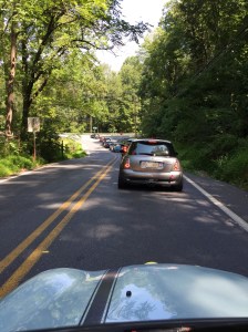 11874566_10206103198792446_1228999916_o