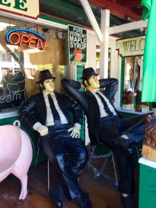 11990345_10206294055763751_1975853905_o