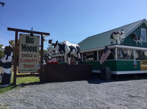 11993203_10206294062963931_2100264776_o