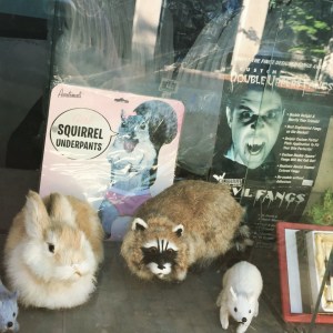 11995702_10206297145921003_262817115_n