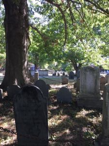 11997460_10206299276814274_252974748_n