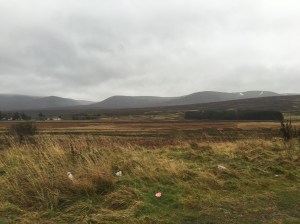 12298026_10206750560656088_937503589_o