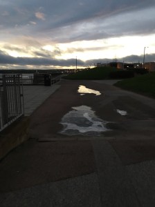 12299565_10206752979836566_458664123_o