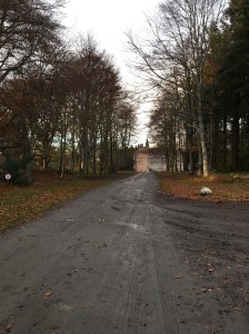 12311661_10206750028682789_1570615796_o