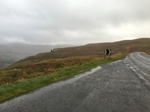 12311360_10206763235092941_2057650652_o