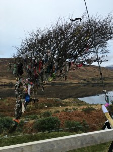 12432902_10206920506544629_111597414_o