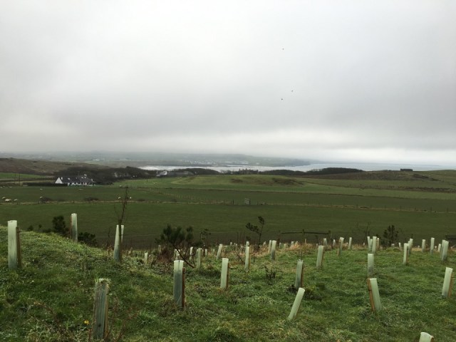 12435644_10206926711339745_808820546_n