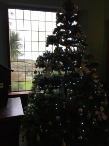 12435878_10206912176016371_2077277413_n