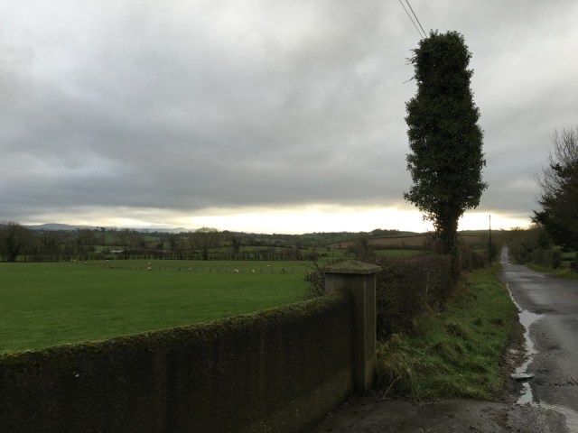 12436023_10206926707379646_52810338_n