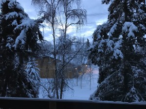 sunrise in Fairbanks