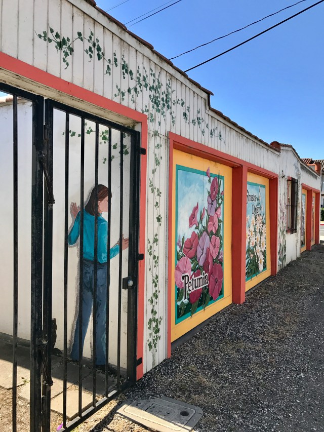 FullSizeRender (1).jpg